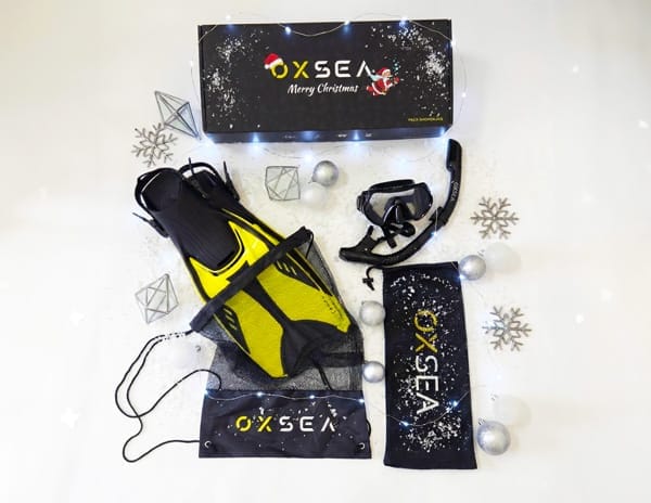 Pack Snorkeling - Edition Noël 🎅🏼